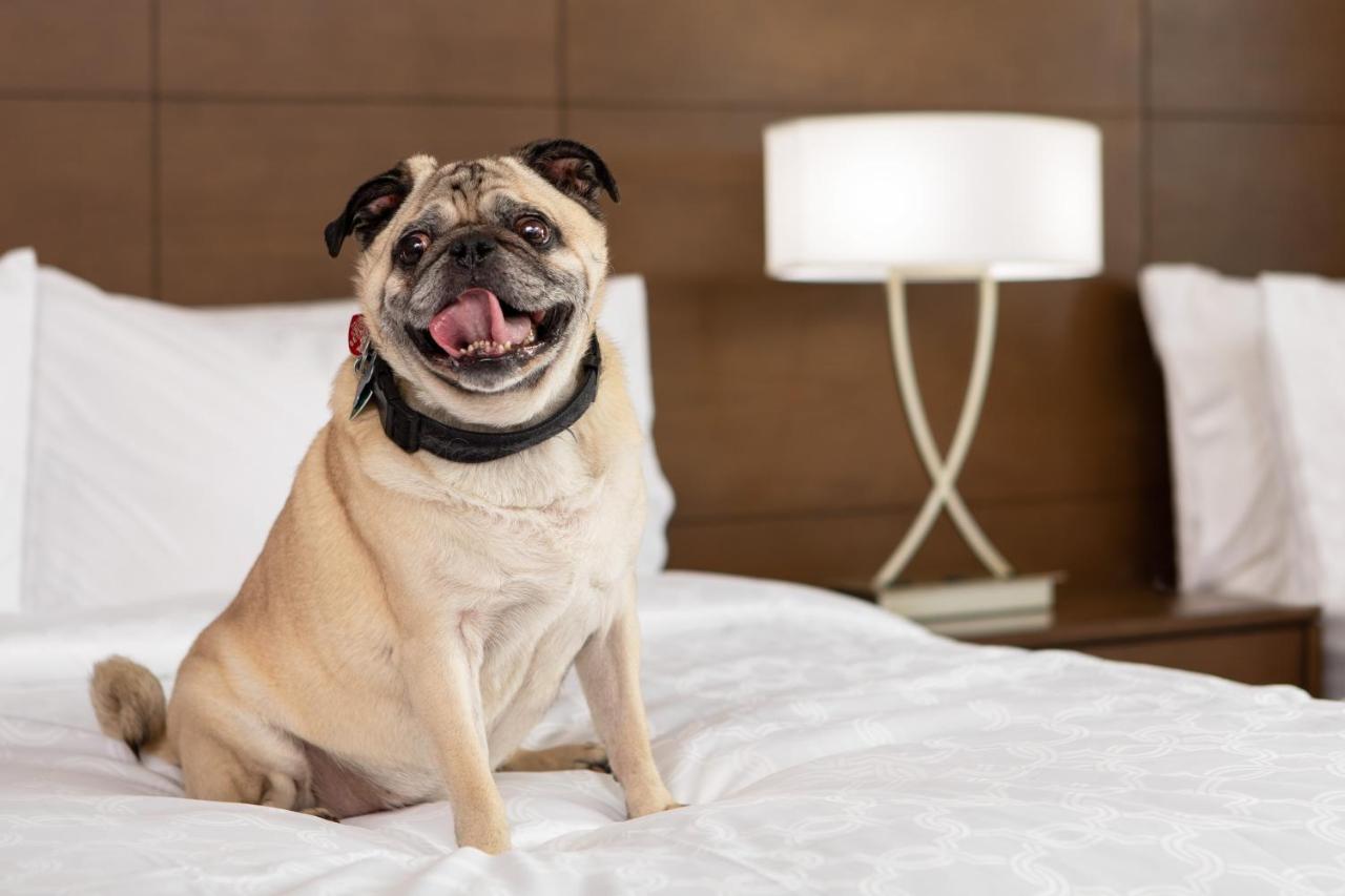 Staybridge Suites Charlottesville Airport By Ihg Exteriér fotografie